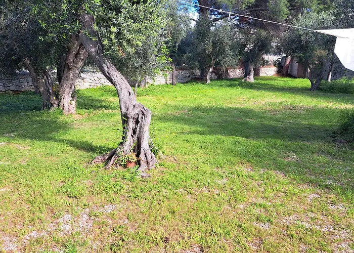 Il Boschetto Villa *